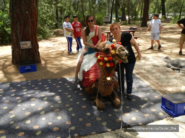 photo 1416230