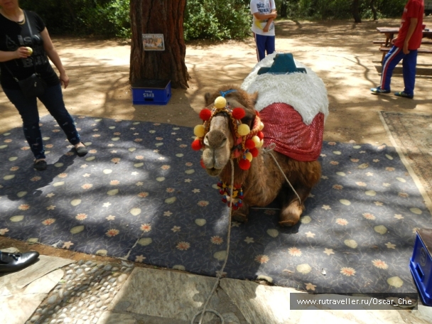 photo 1416231
