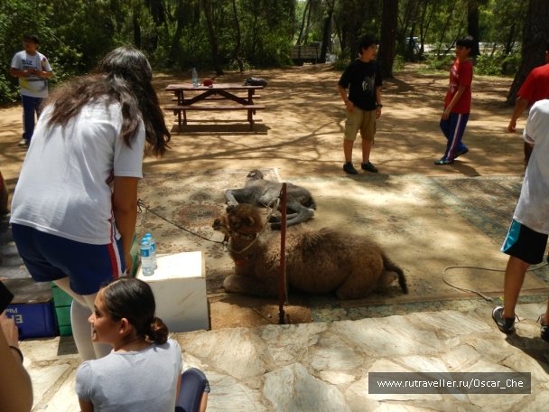 photo 1416232