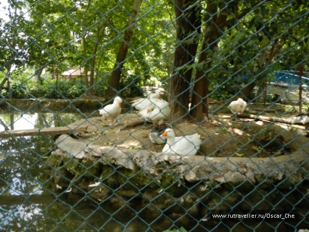 photo 1416233