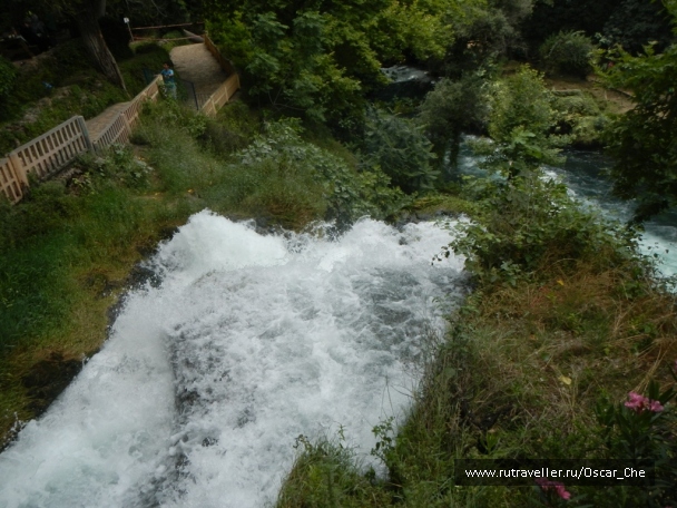 photo 1416235