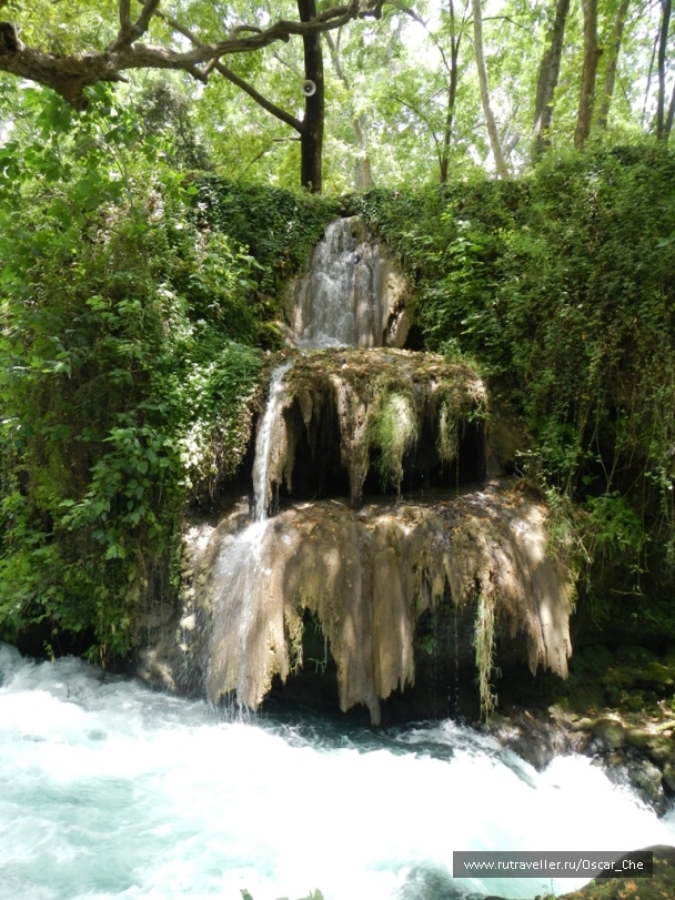 photo 1416243