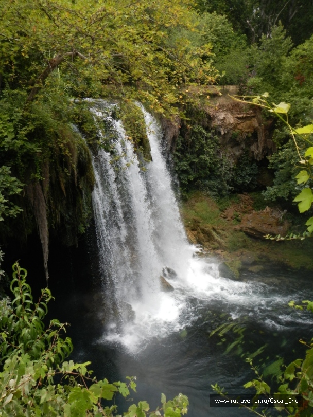 photo 1416251