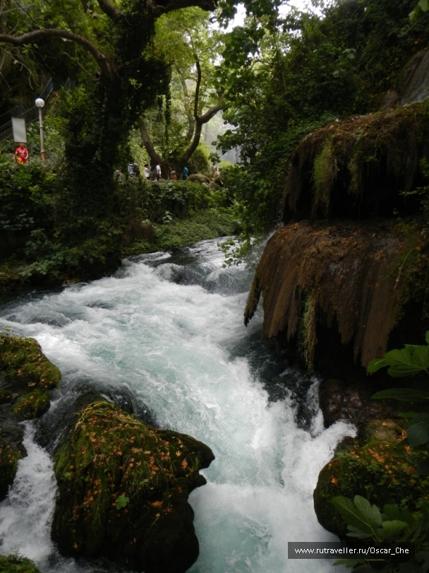 photo 1416269
