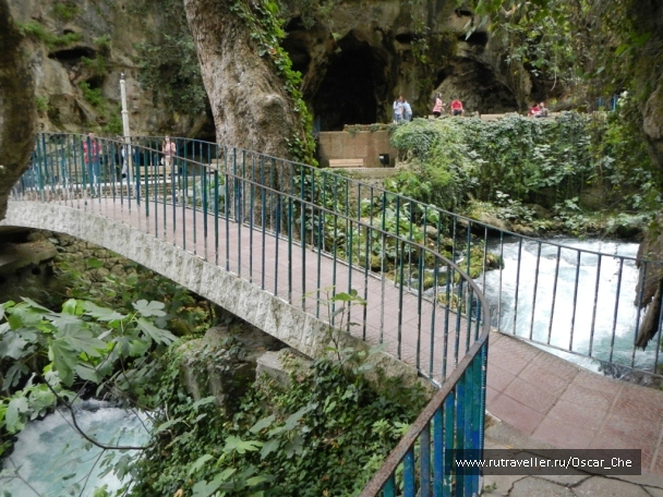 photo 1416270