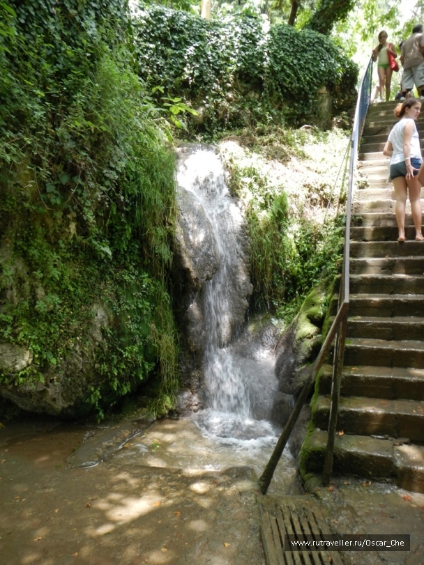 photo 1416272
