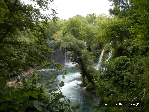 photo 1416274