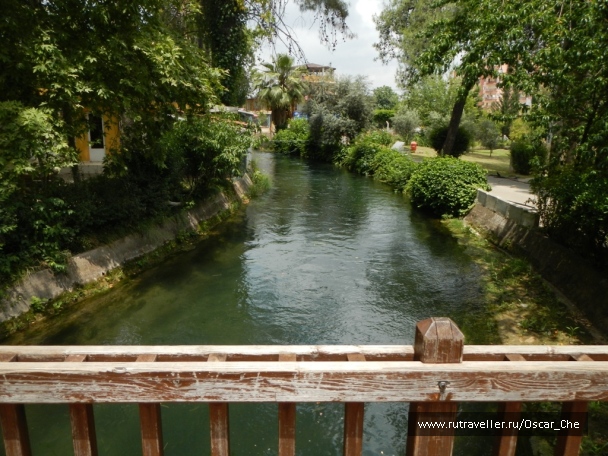 photo 1416279