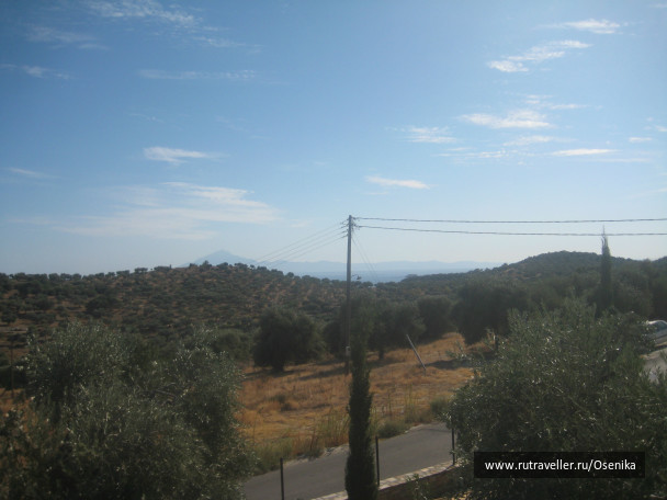 photo 267890