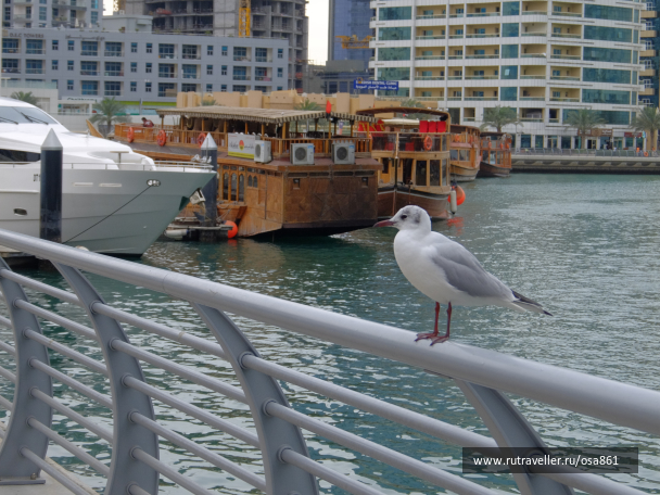 photo 1611623