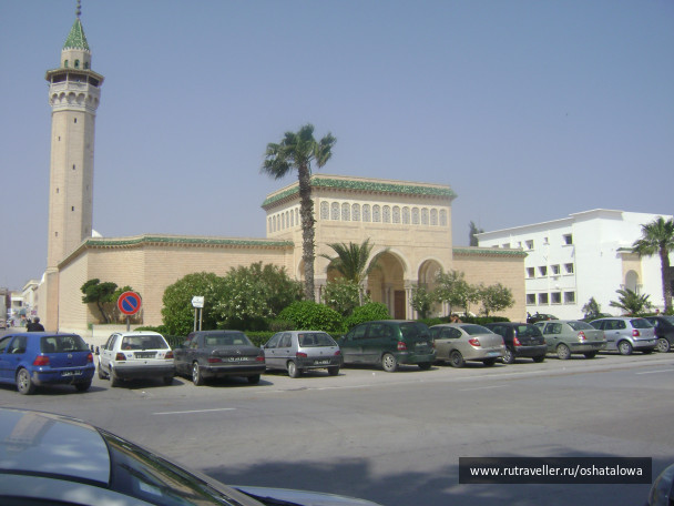 photo 77891
