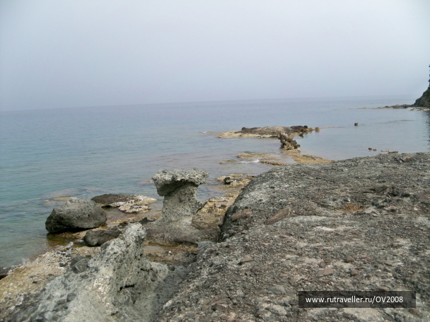 photo 1834494