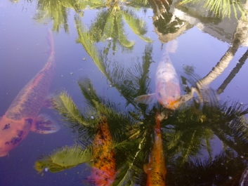 photo 688927