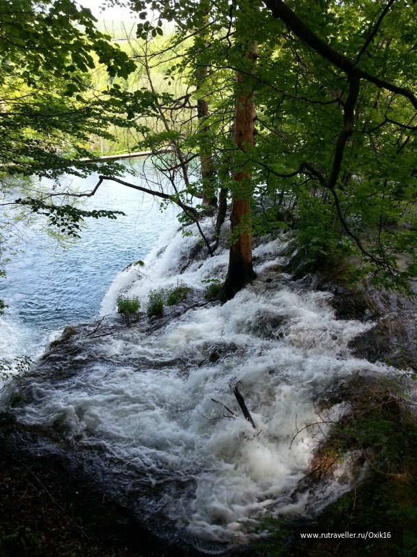 photo 872258