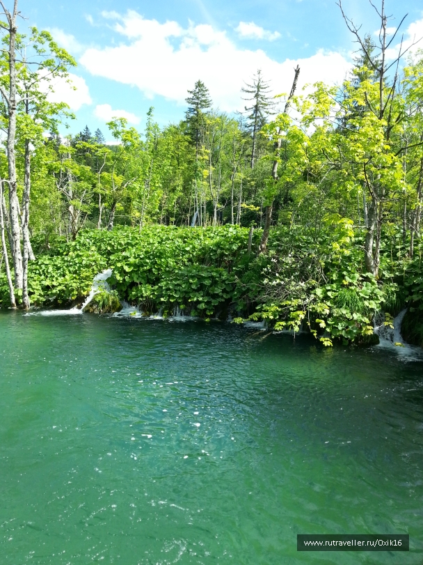 photo 872259