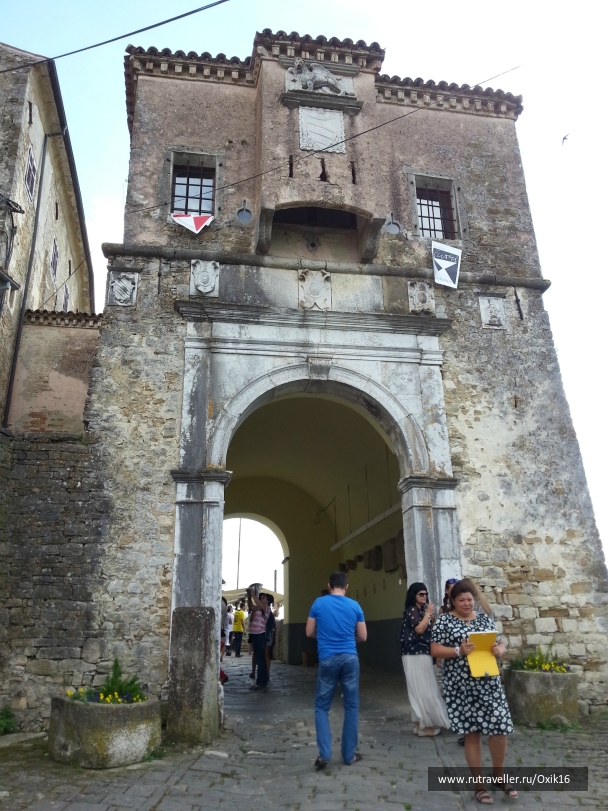 photo 872272