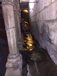 photo 1203123