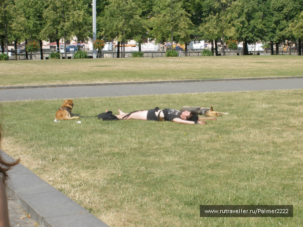 photo 237382