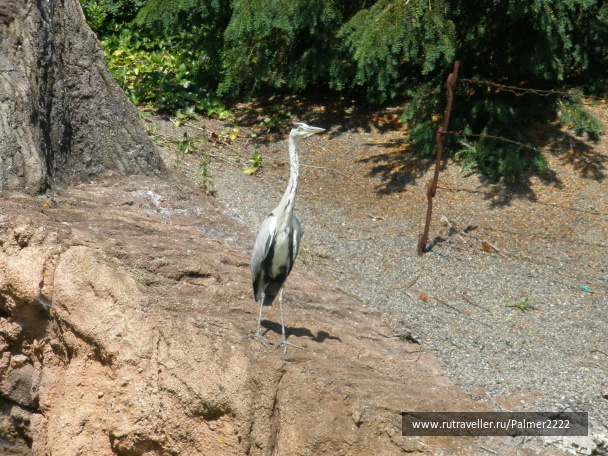photo 237321