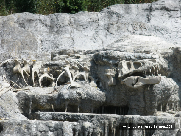 photo 237322