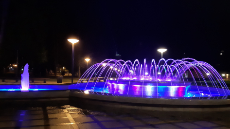 photo 1791145