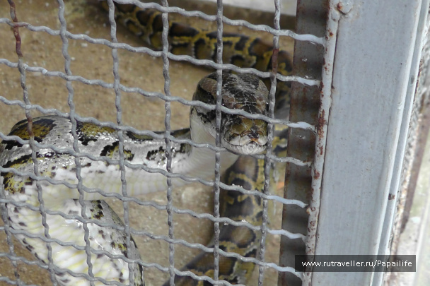 photo 468184