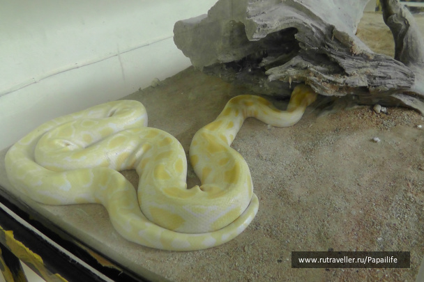 photo 468190