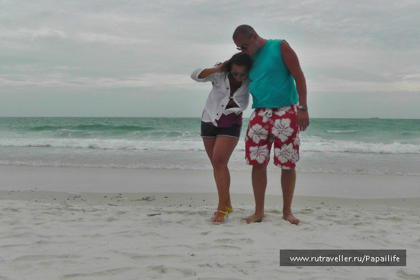 photo 484624