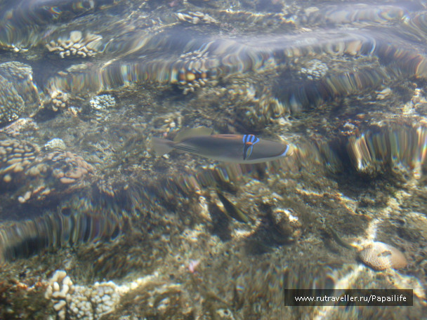 photo 210547