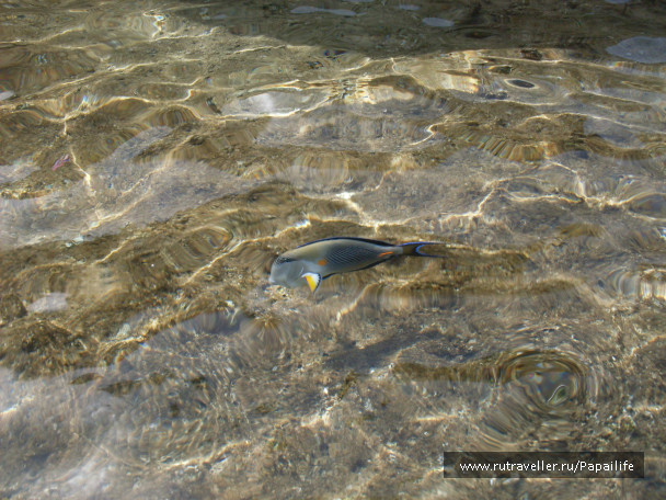 photo 210548