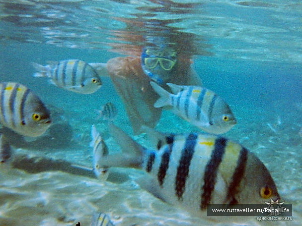 photo 210551