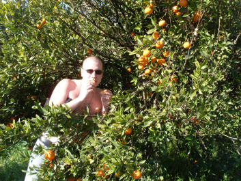 photo 211516