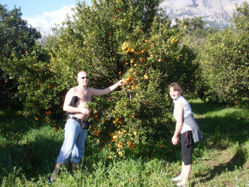 photo 211517