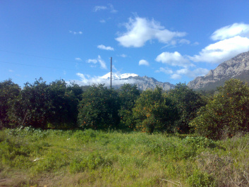 photo 211519