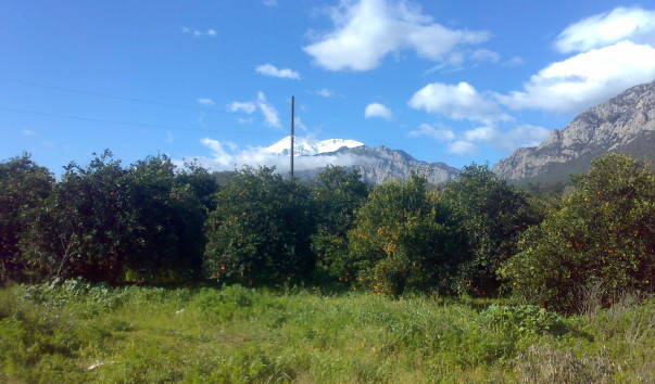 200220111436