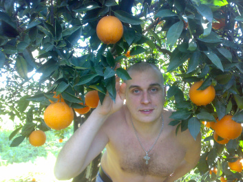 photo 211520