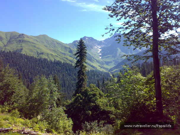 photo 209427