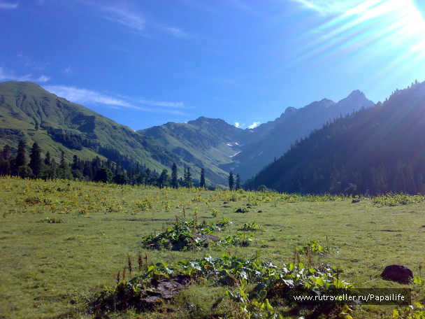 photo 209428