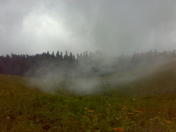 photo 209457