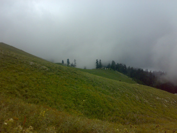 photo 209458