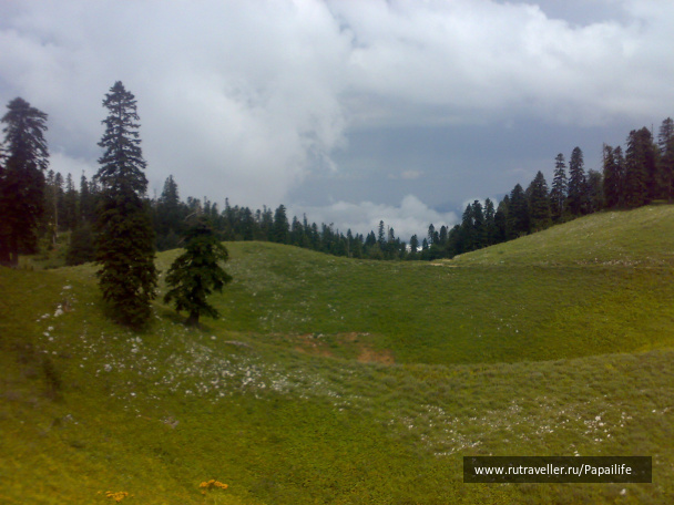 photo 209459