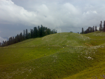 photo 209460