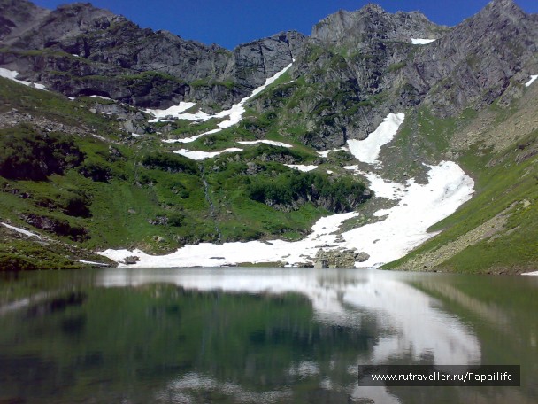 photo 209465