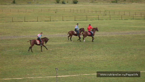 photo 226659