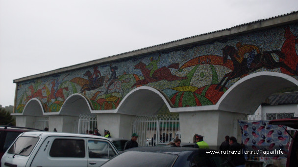 photo 226661