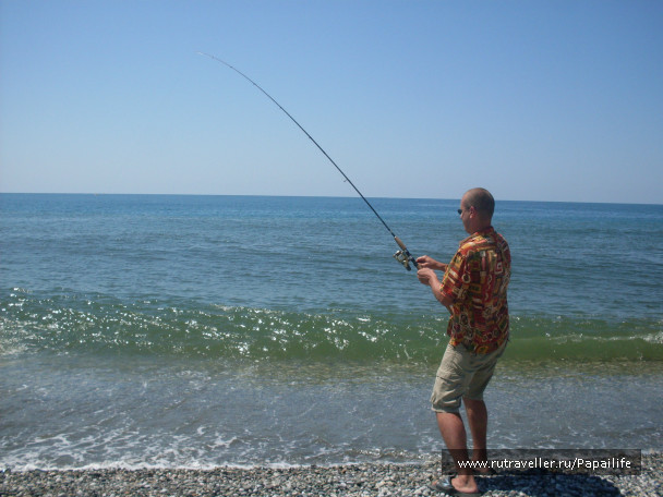photo 233752