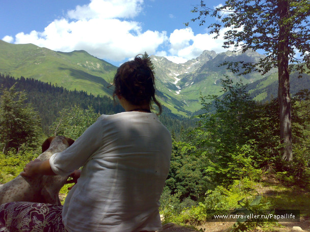 photo 233765