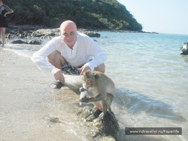 photo 233743