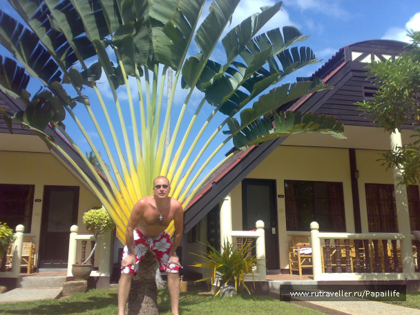 photo 233763