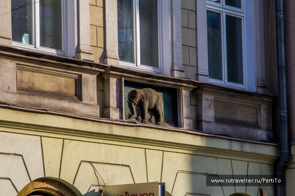 photo 1229053